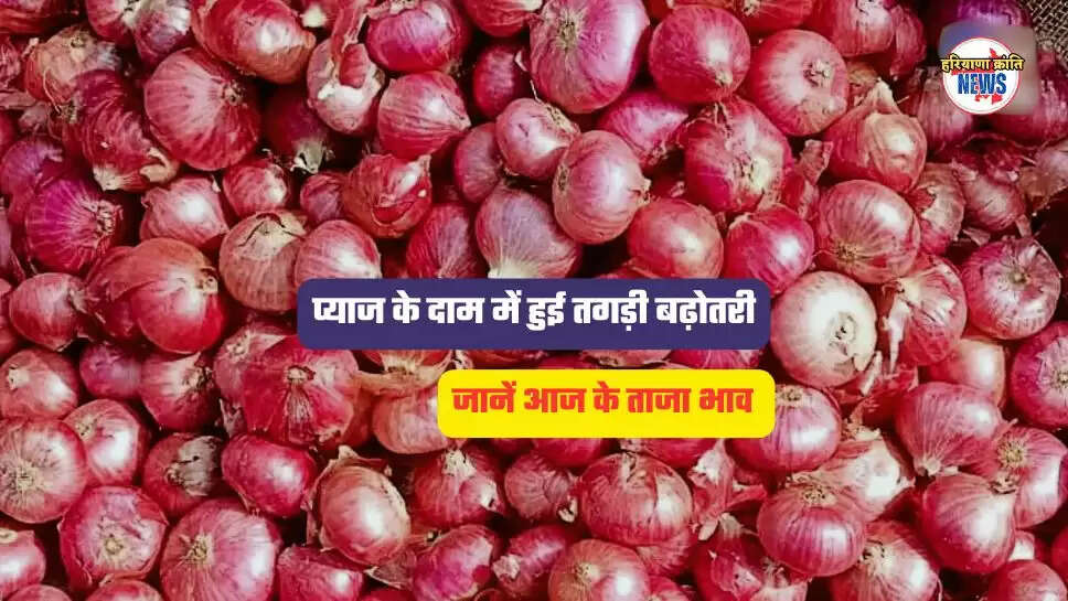 onion price