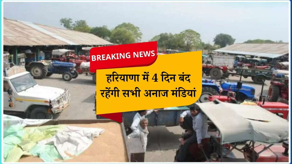 Haryana News