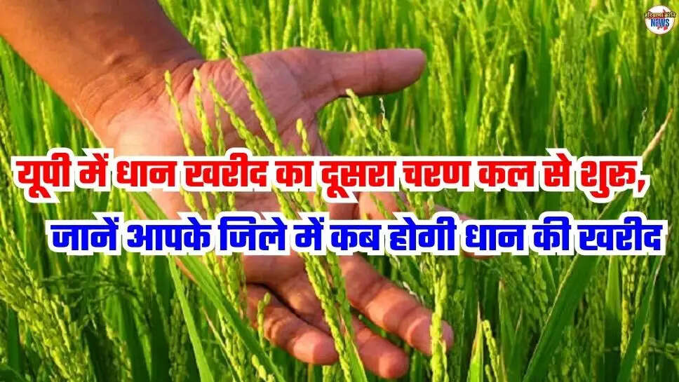 UP News