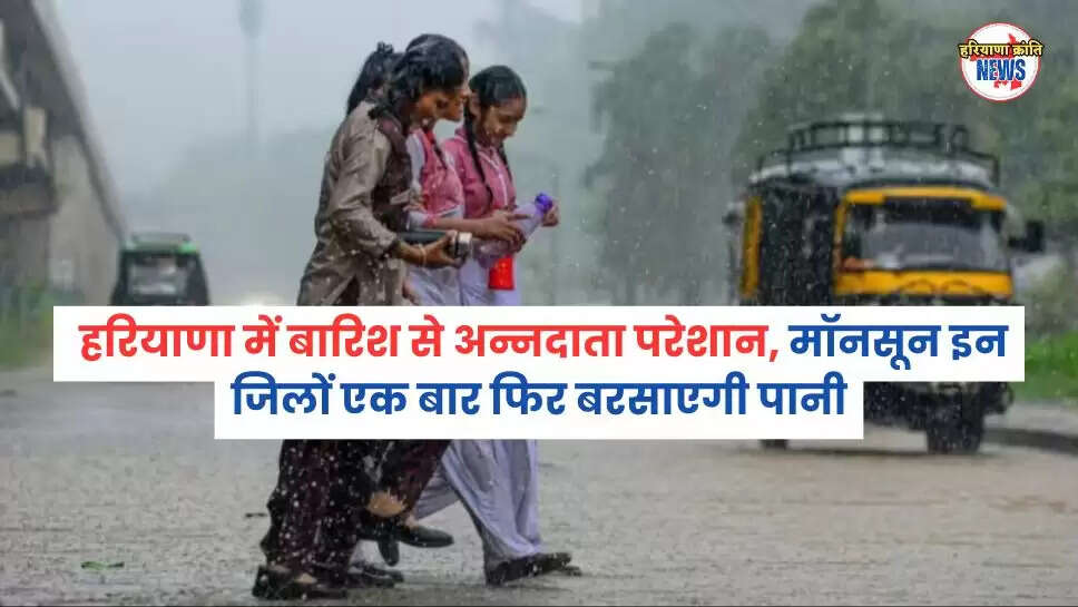 हरियाणा में बारिश