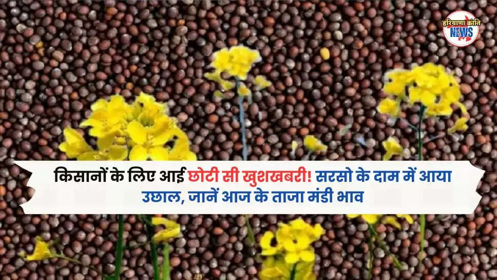 mandi bhav
