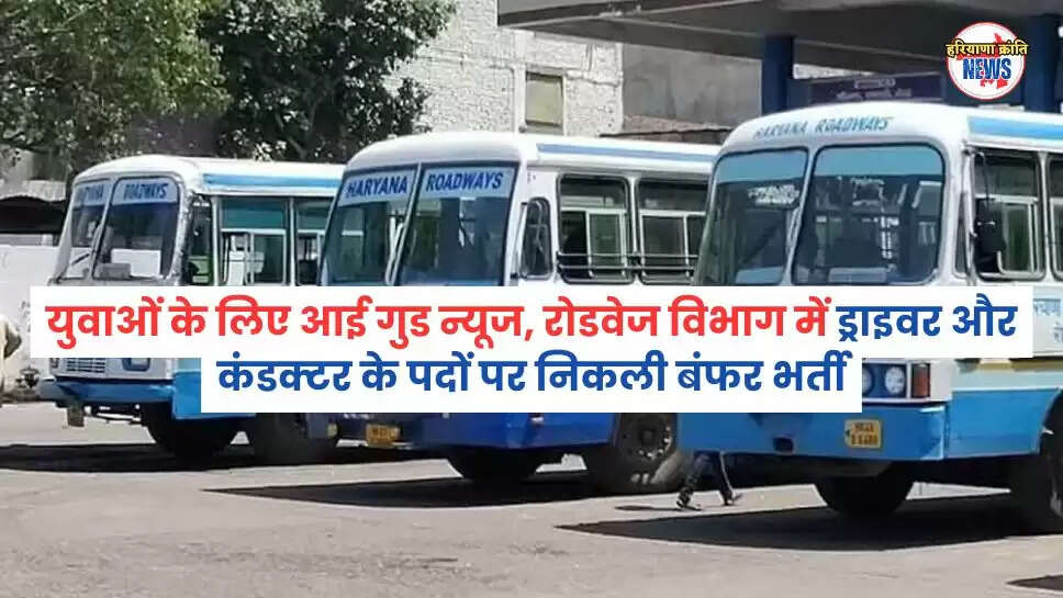 ड्राइवर और कंडक्टर 