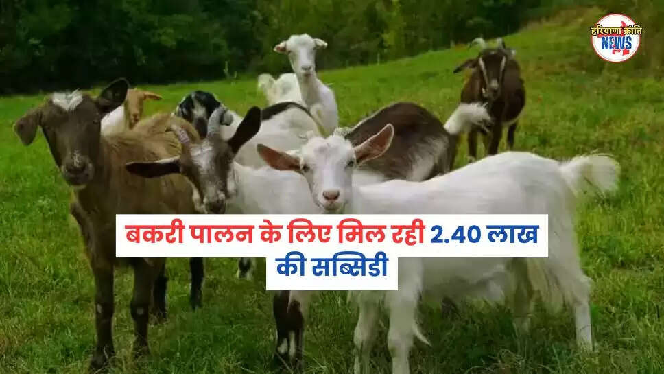 बकरी पालन  