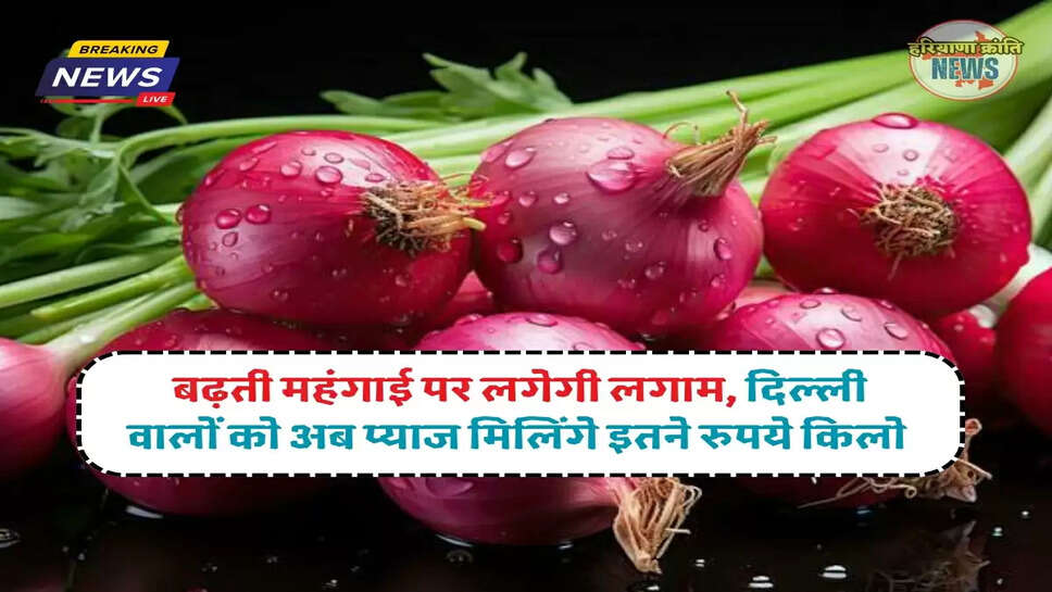 Onion Price In Delhi