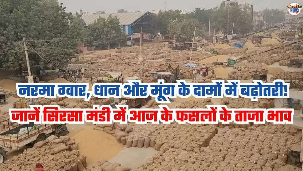 Sirsa Mandi Bhav