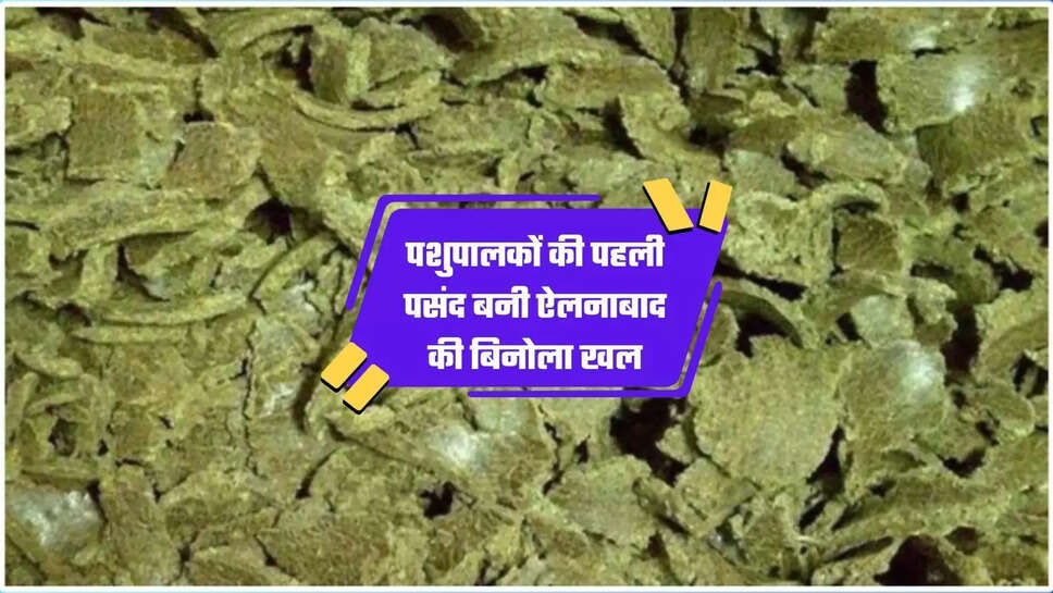 Ellenabad Binola Khal