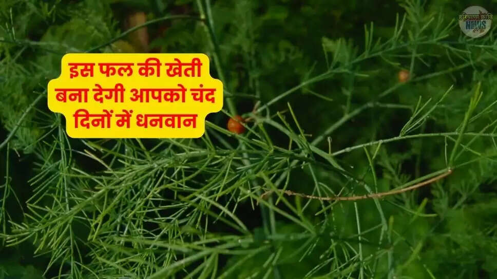 Agriculture News