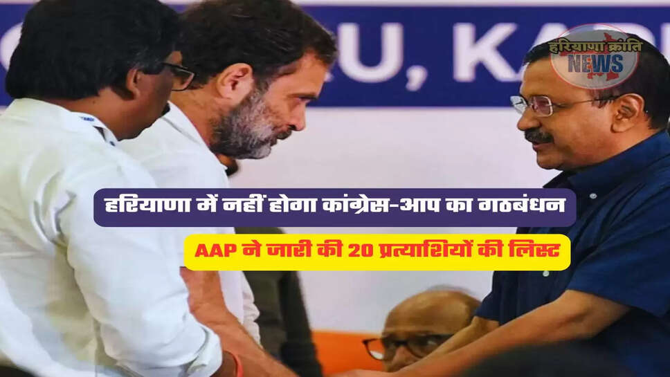 AAP ने जारी की 20 प्रत्याशियों की लिस्ट