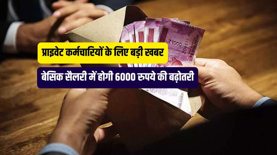 Basic Salary