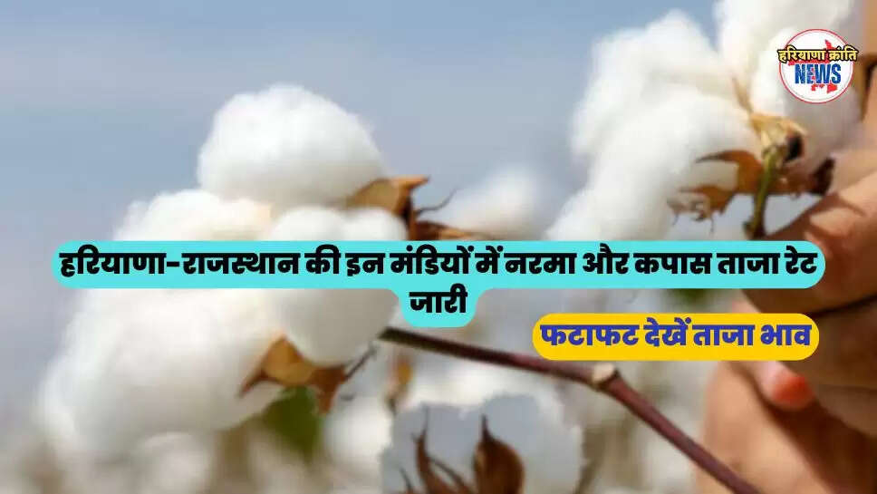 फटाफट देखें ताजा भाव