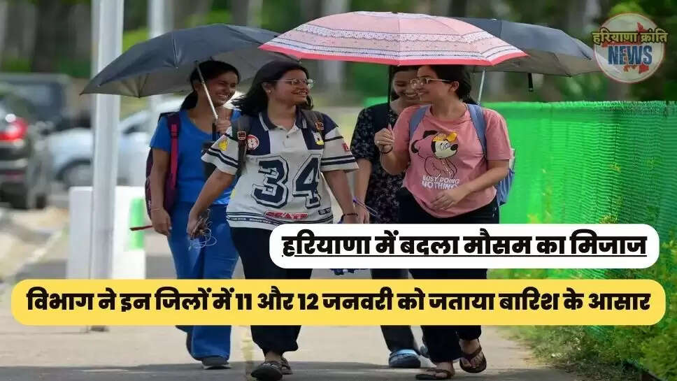 विभाग