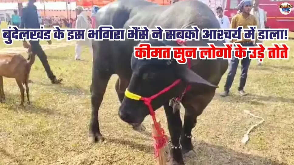 Krishi Mela