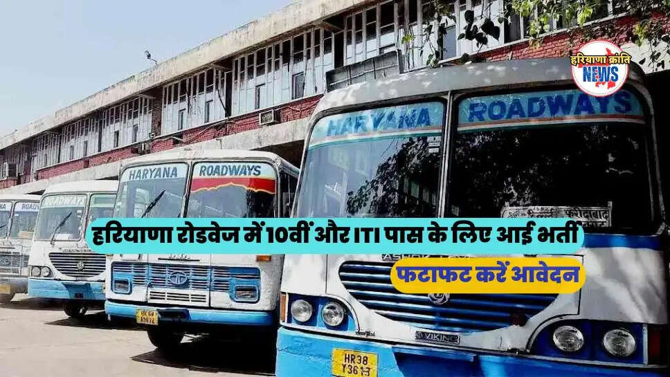haryana news
