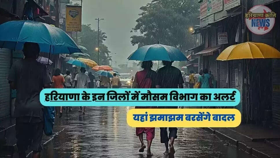 haryana news