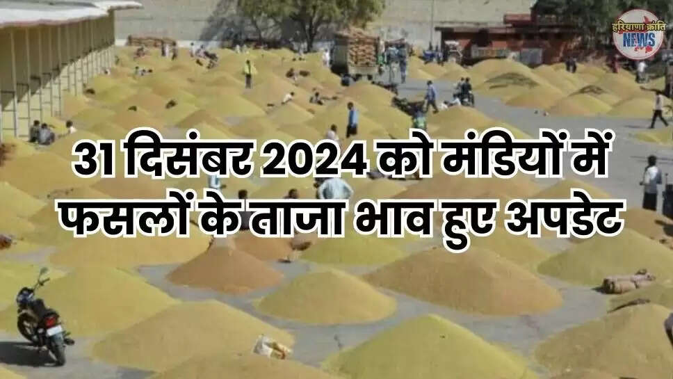 Haryana Mandi Bhav