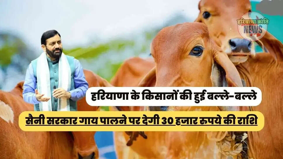 सैनी सरकार