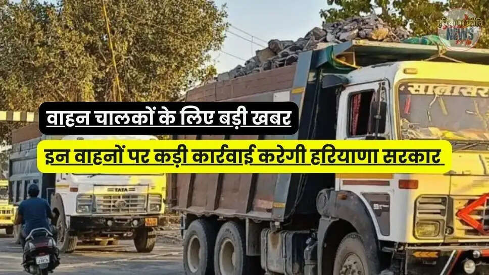 Haryana News 