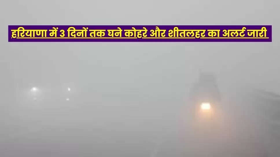 Haryana Weather News