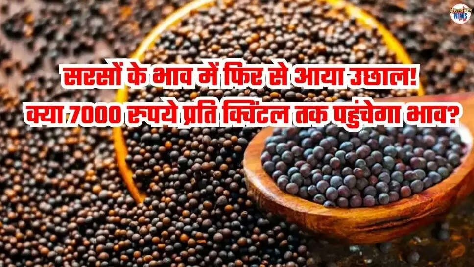 Mustard Price