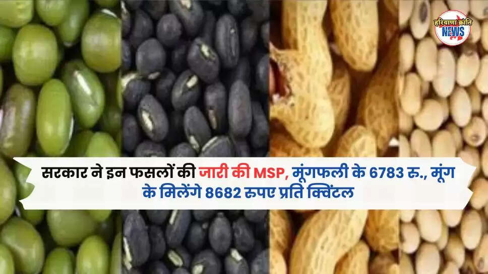 MSP,