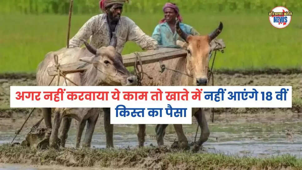 18 वीं किस्त का पैसा