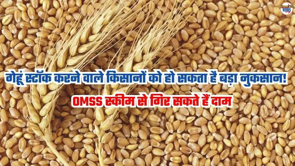 Kisan News
