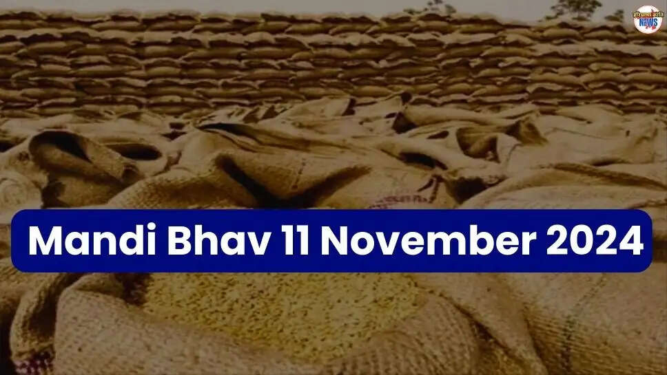 Mandi Bhav Today