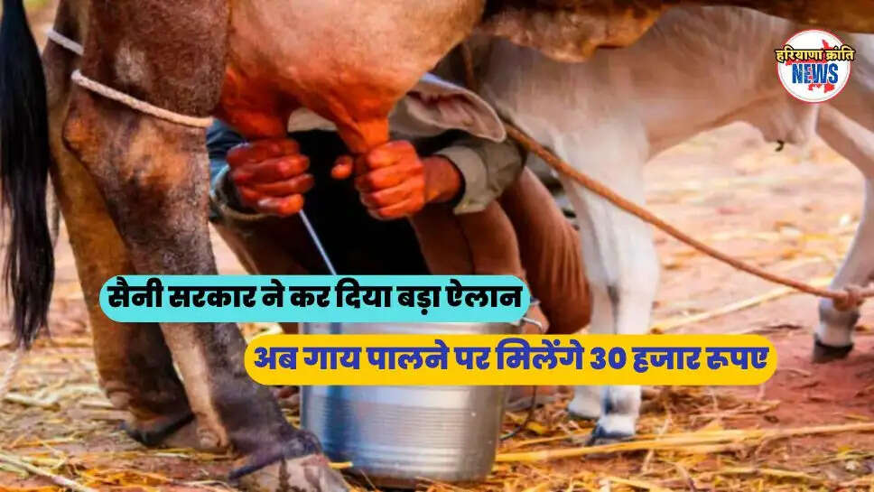 अब गाय पालने पर मिलेंगे 30 हजार रूपए