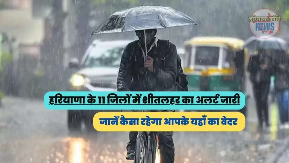 वेदर