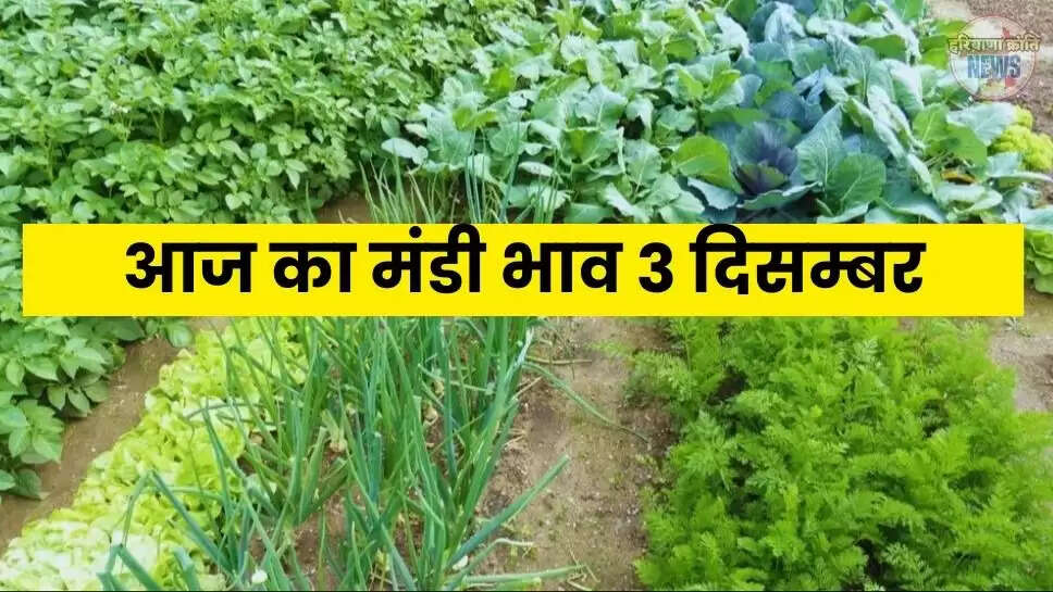 Aaj Ka Mandi Bhav