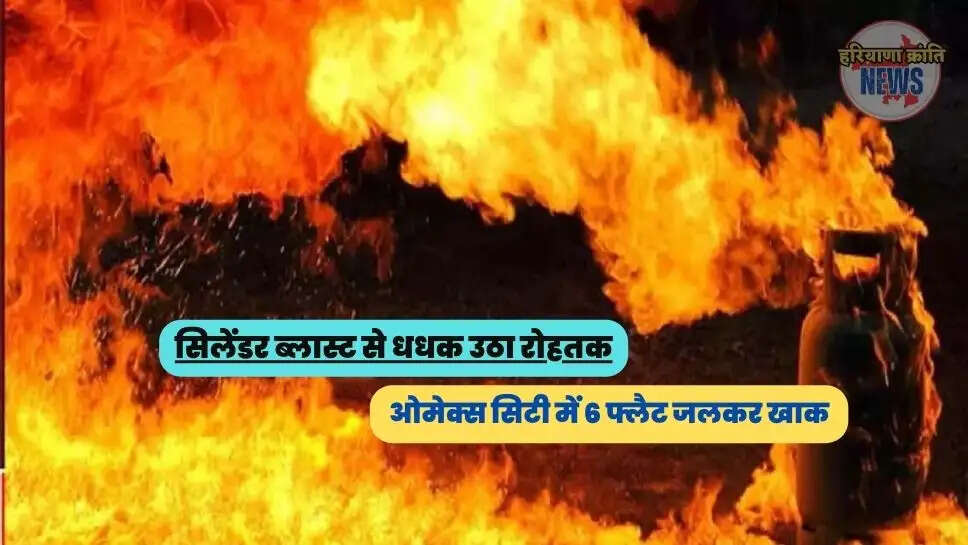 Rohtak Omaxe City